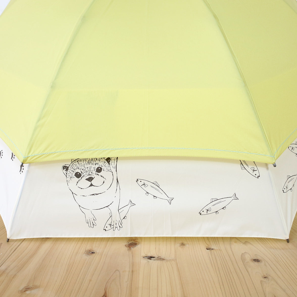 カワウソ｜バックスライド・ジャンプ長傘 60cm