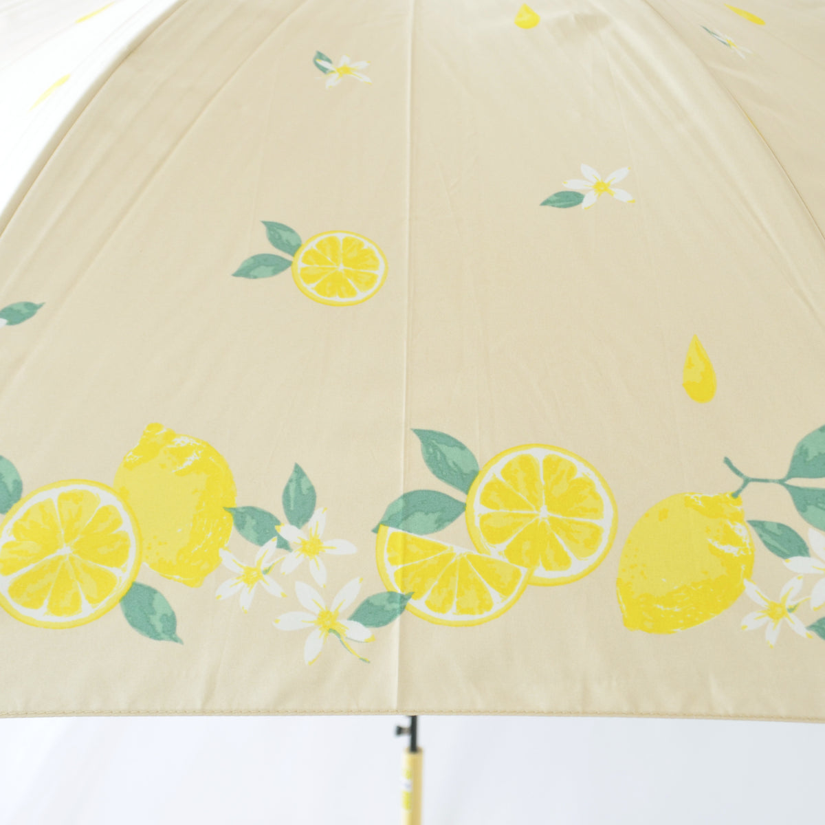 シトロン｜遮光 ジャンプ｜晴雨兼用 長傘 60cm